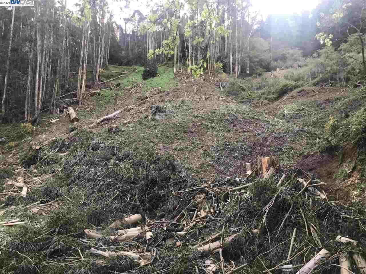 5814 Skyline Blvd, OAKLAND, California 94611, ,Lots And Land,For Sale,Skyline Blvd,40963994