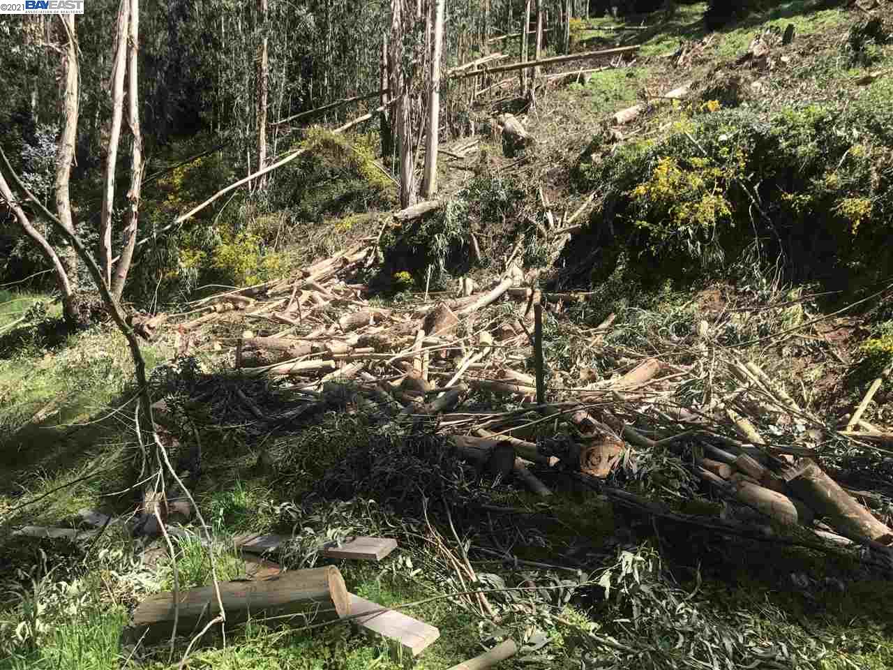 5814 Skyline Blvd, OAKLAND, California 94611, ,Lots And Land,For Sale,Skyline Blvd,40963994