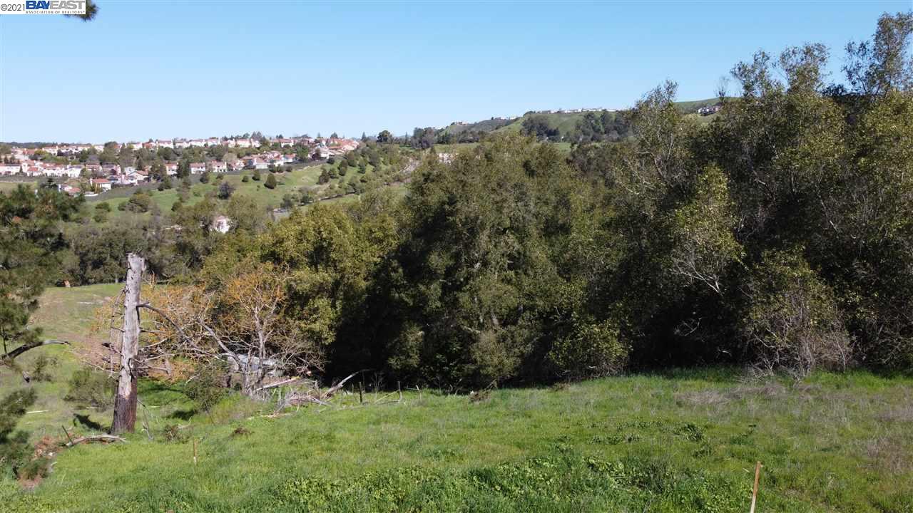 6590 Sunnyslope Ave, CASTRO VALLEY, California 94546, ,Lots And Land,For Sale,Sunnyslope Ave,40964031