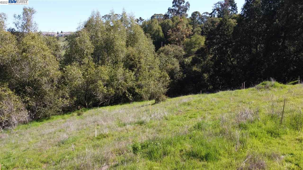 6590 Sunnyslope Ave, CASTRO VALLEY, California 94546, ,Lots And Land,For Sale,Sunnyslope Ave,40964031