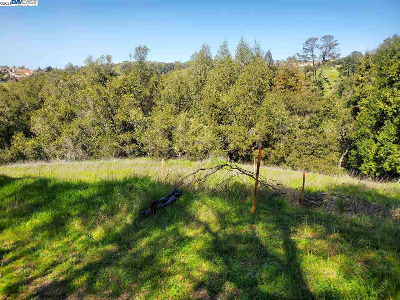 6590 Sunnyslope Ave, CASTRO VALLEY, California 94546, ,Lots And Land,For Sale,Sunnyslope Ave,40964031