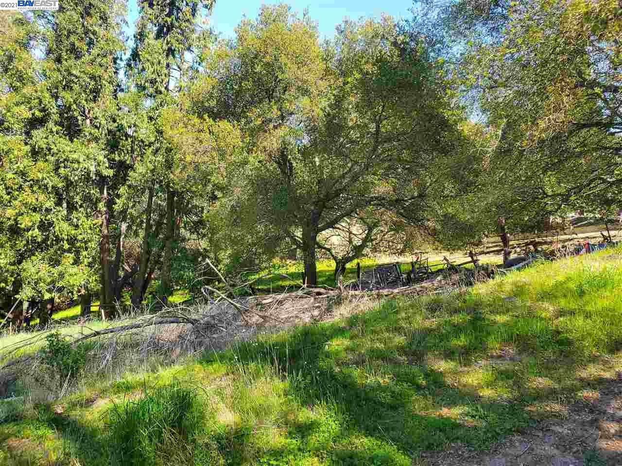 6590 Sunnyslope Ave, CASTRO VALLEY, California 94546, ,Lots And Land,For Sale,Sunnyslope Ave,40964031