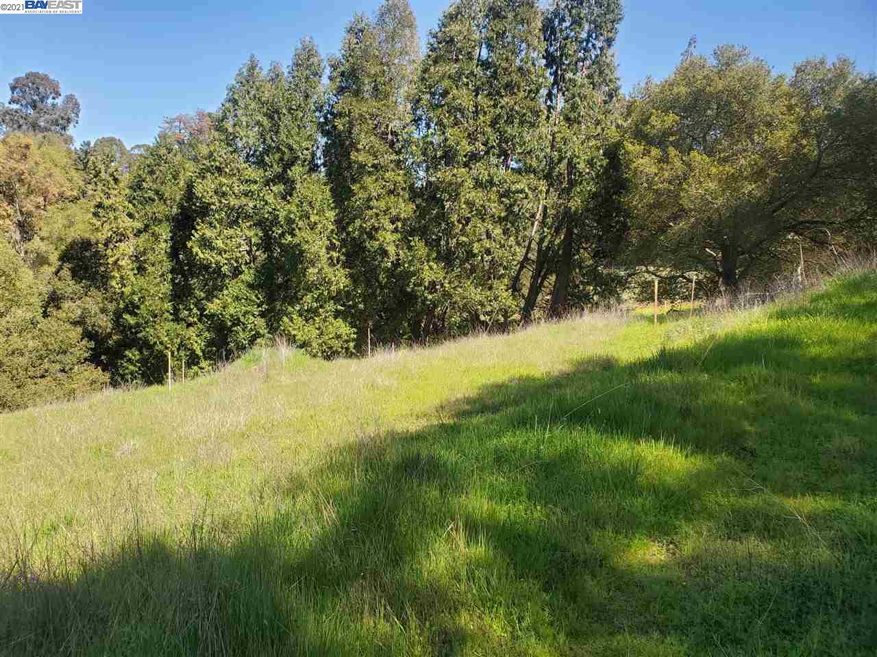 6590 Sunnyslope Ave, CASTRO VALLEY, California 94546, ,Lots And Land,For Sale,Sunnyslope Ave,40964031