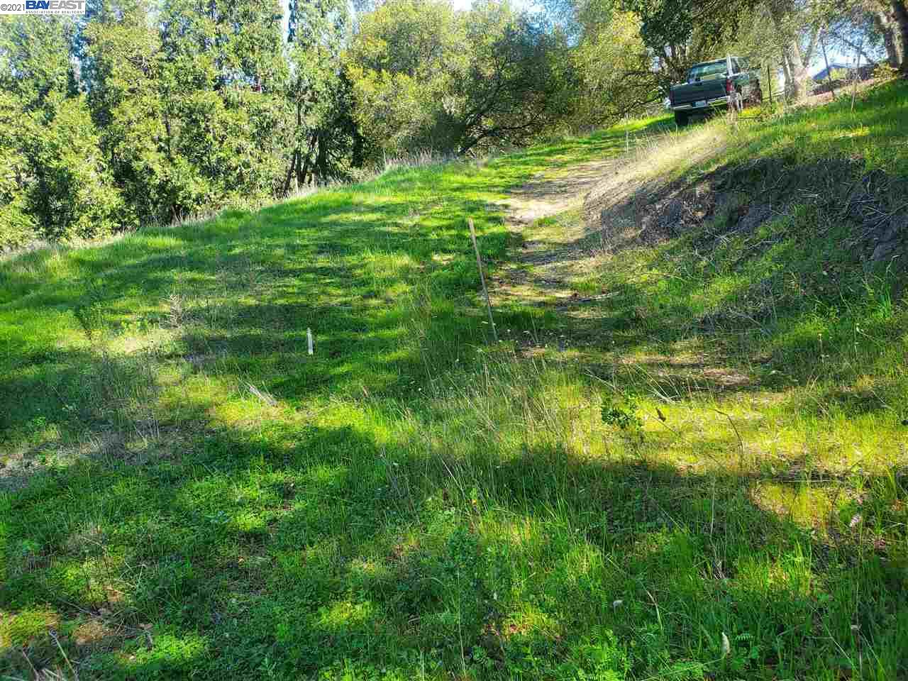 6590 Sunnyslope Ave, CASTRO VALLEY, California 94546, ,Lots And Land,For Sale,Sunnyslope Ave,40964031
