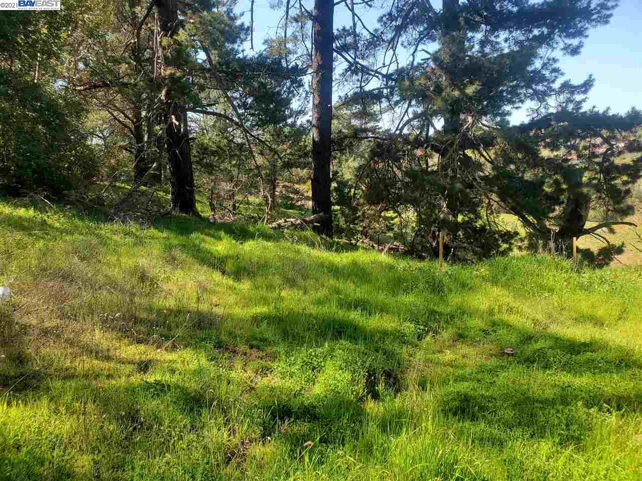 6590 Sunnyslope Ave, CASTRO VALLEY, California 94546, ,Lots And Land,For Sale,Sunnyslope Ave,40964031