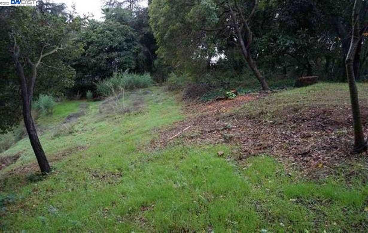 Frye St, OAKLAND, California 94602, ,Lots And Land,For Sale,Frye St,40964113