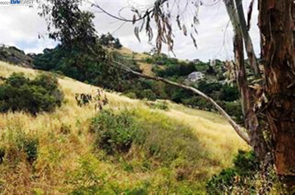 0 Miradero Ave, SAN JOSE, California 95127, ,Lots And Land,For Sale,Miradero Ave,40964122