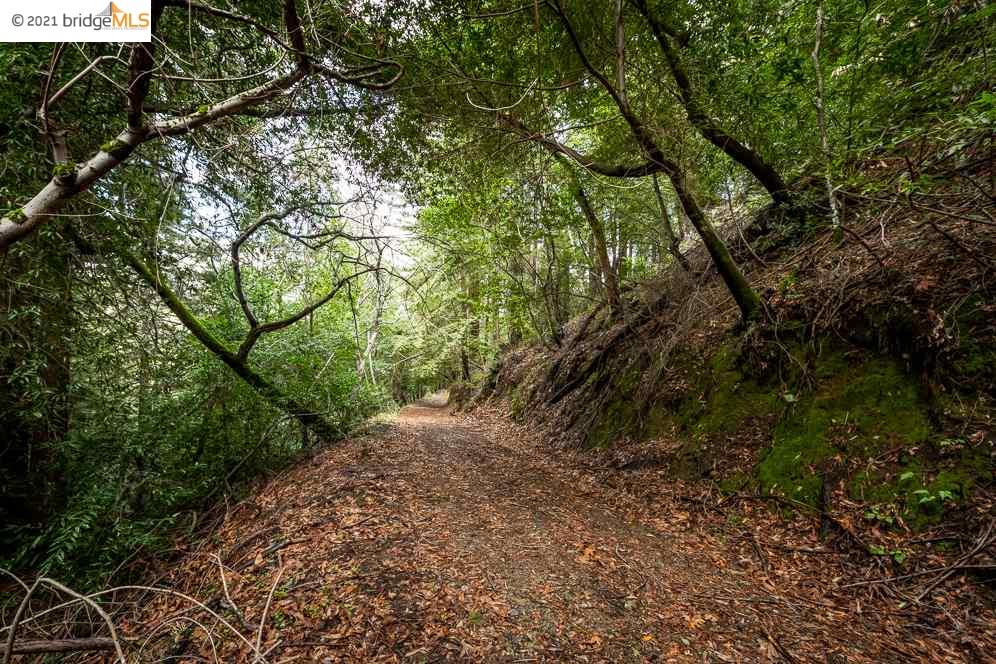 Congress Springs Rd, SARATOGA, California 95070, ,Lots And Land,For Sale,Congress Springs Rd,40965315