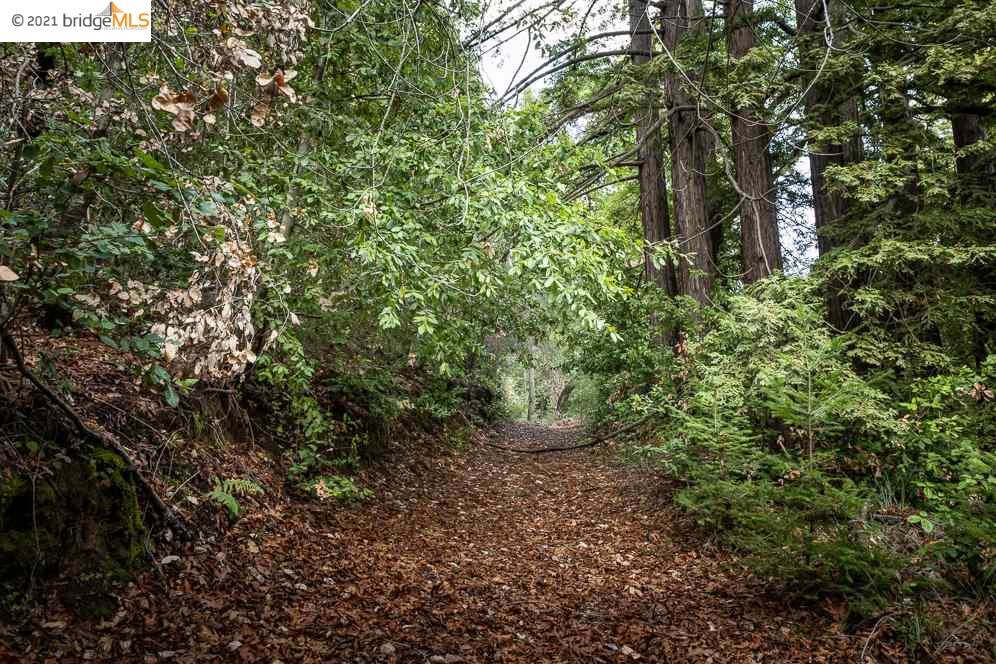 Congress Springs Rd, SARATOGA, California 95070, ,Lots And Land,For Sale,Congress Springs Rd,40965315