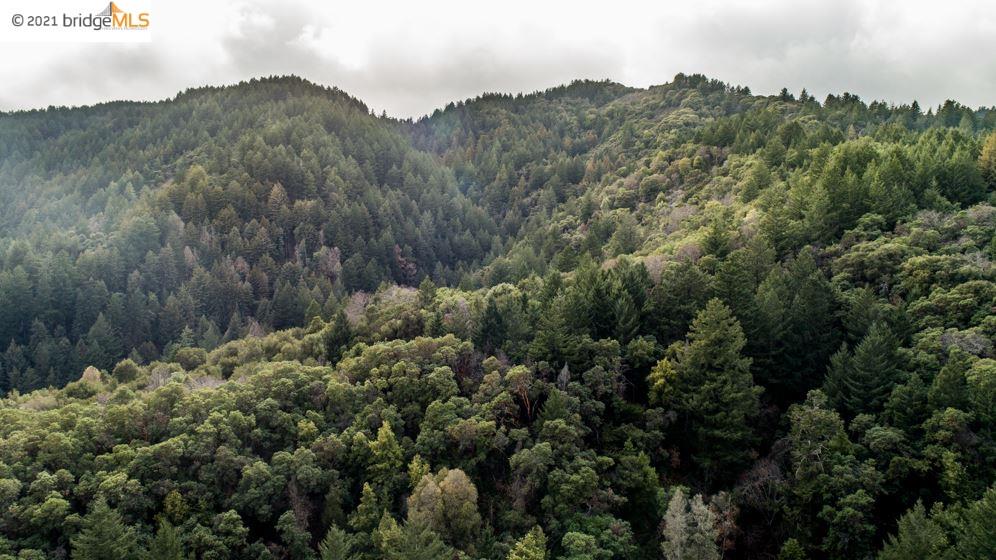 Congress Springs Rd, SARATOGA, California 95070, ,Lots And Land,For Sale,Congress Springs Rd,40965315