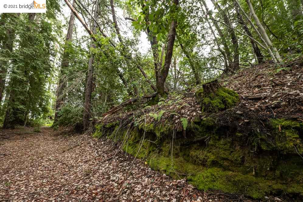 Congress Springs Rd, SARATOGA, California 95070, ,Lots And Land,For Sale,Congress Springs Rd,40965315