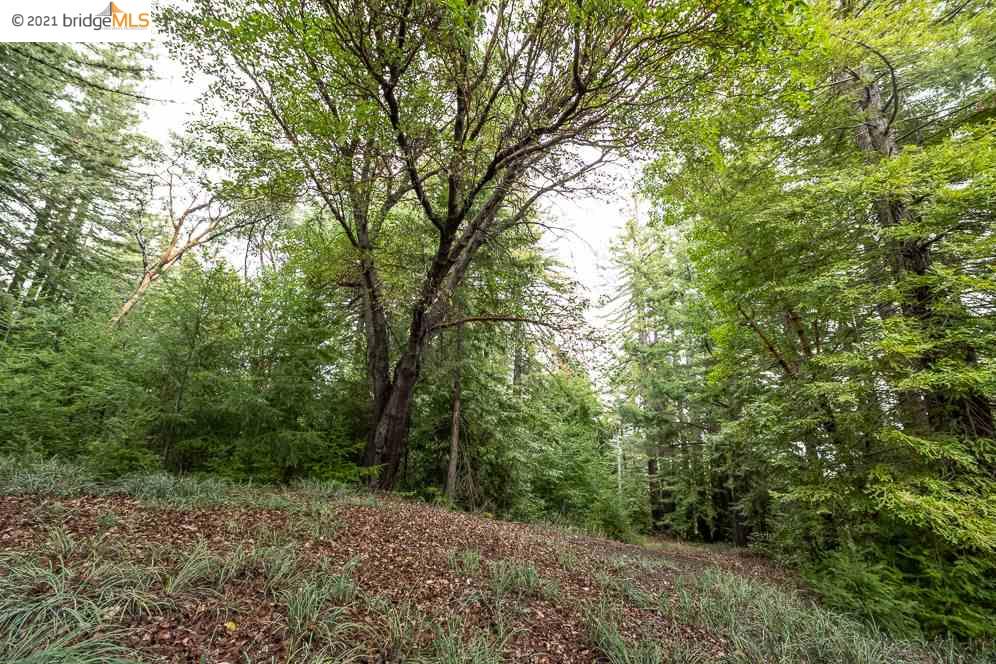 Congress Springs Rd, SARATOGA, California 95070, ,Lots And Land,For Sale,Congress Springs Rd,40965315