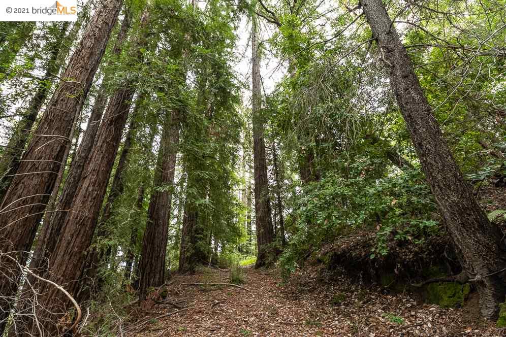 Congress Springs Rd, SARATOGA, California 95070, ,Lots And Land,For Sale,Congress Springs Rd,40965315