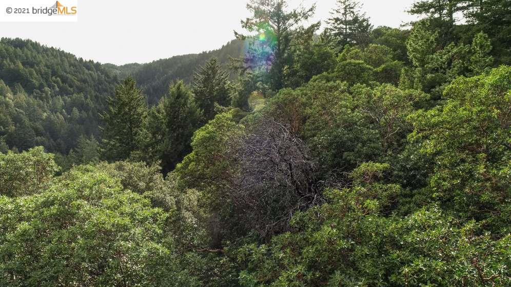 Congress Springs Rd, SARATOGA, California 95070, ,Lots And Land,For Sale,Congress Springs Rd,40965315