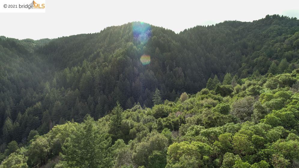Congress Springs Rd, SARATOGA, California 95070, ,Lots And Land,For Sale,Congress Springs Rd,40965315
