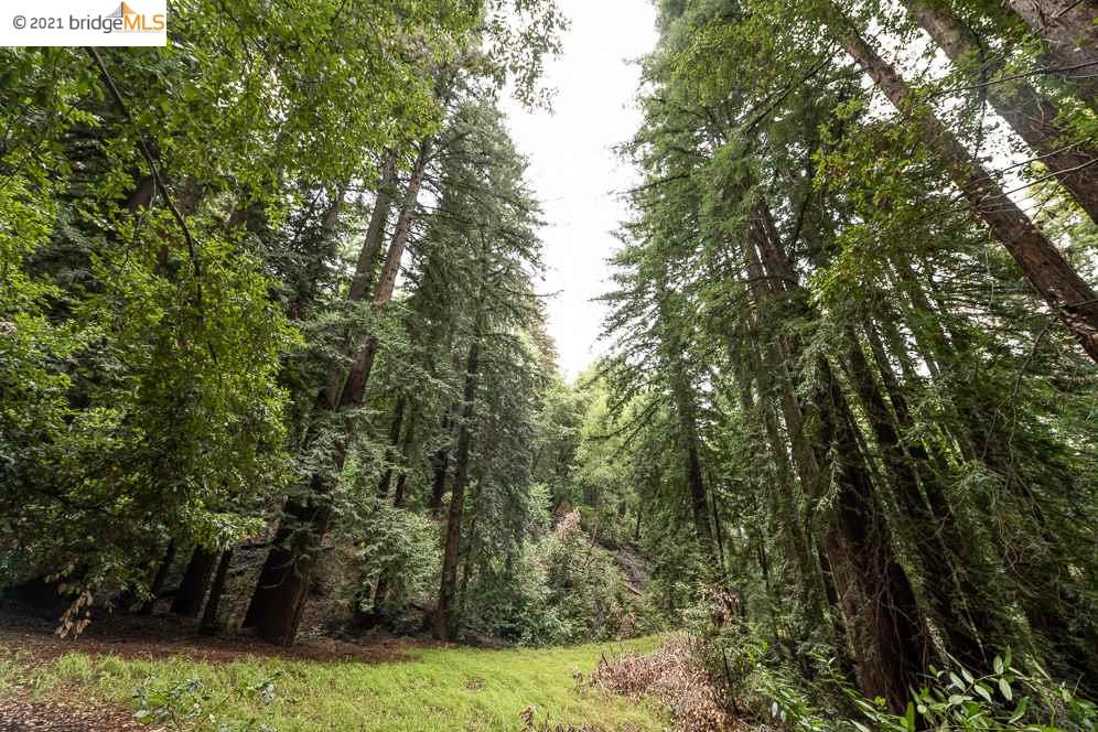 Congress Springs Rd, SARATOGA, California 95070, ,Lots And Land,For Sale,Congress Springs Rd,40965315