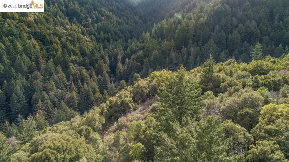 Congress Springs Rd, SARATOGA, California 95070, ,Lots And Land,For Sale,Congress Springs Rd,40965315