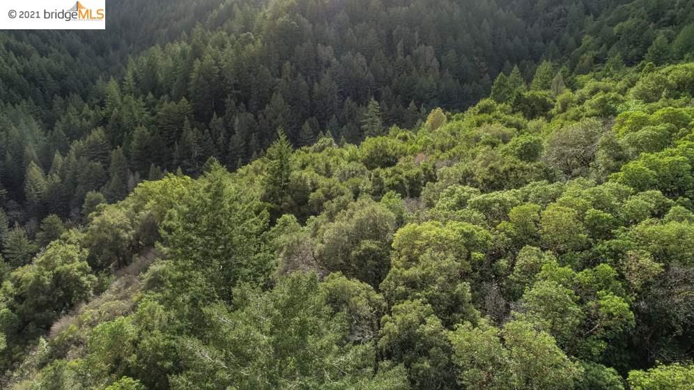 Congress Springs Rd, SARATOGA, California 95070, ,Lots And Land,For Sale,Congress Springs Rd,40965315