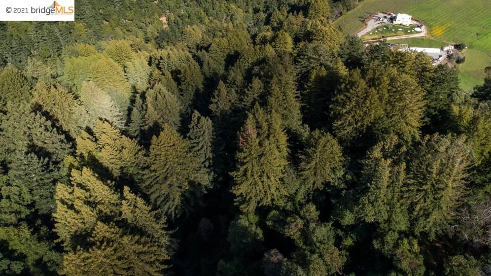 Congress Springs Rd, SARATOGA, California 95070, ,Lots And Land,For Sale,Congress Springs Rd,40965315