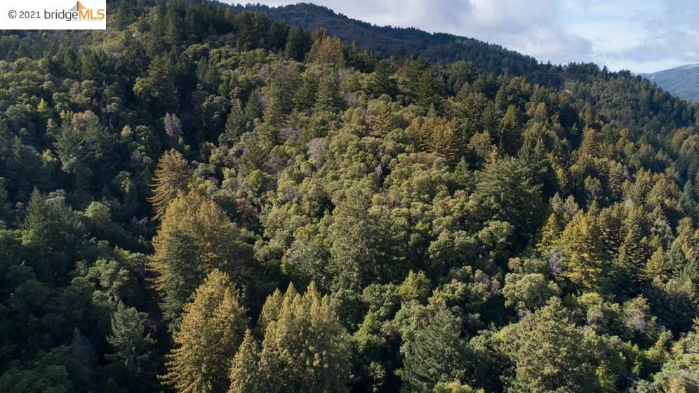 Congress Springs Rd, SARATOGA, California 95070, ,Lots And Land,For Sale,Congress Springs Rd,40965315