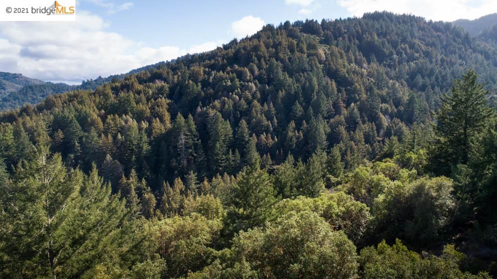 Congress Springs Rd, SARATOGA, California 95070, ,Lots And Land,For Sale,Congress Springs Rd,40965315