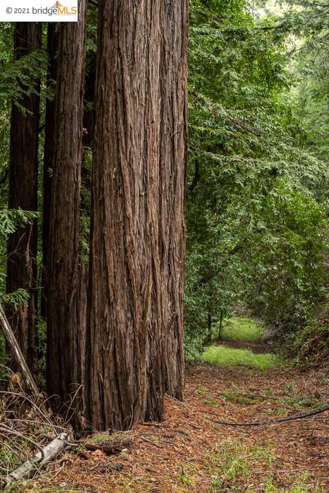 Congress Springs Rd, SARATOGA, California 95070, ,Lots And Land,For Sale,Congress Springs Rd,40965315