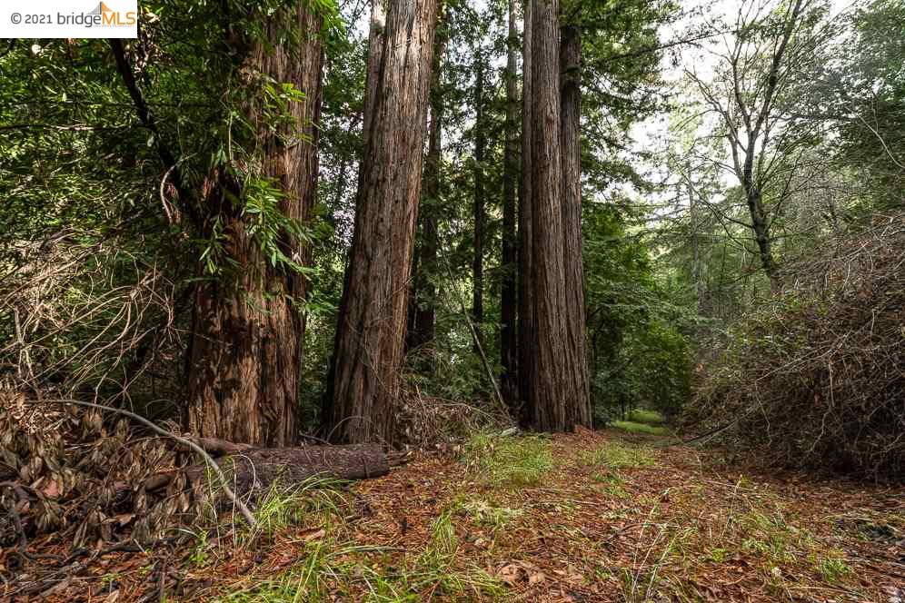 Congress Springs Rd, SARATOGA, California 95070, ,Lots And Land,For Sale,Congress Springs Rd,40965315