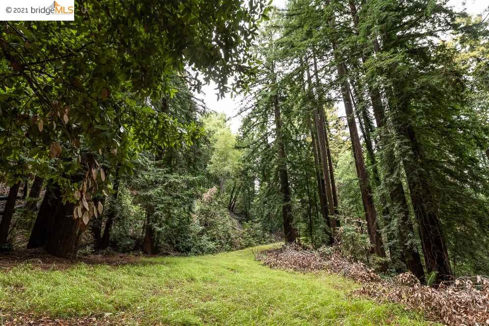 Congress Springs Rd, SARATOGA, California 95070, ,Lots And Land,For Sale,Congress Springs Rd,40965315