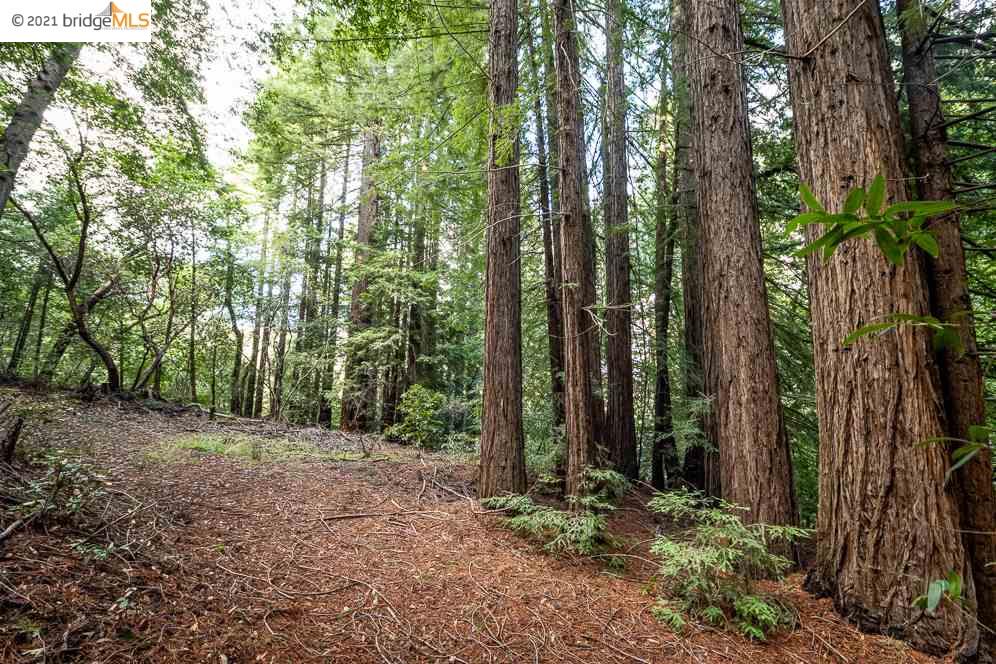Congress Springs Rd, SARATOGA, California 95070, ,Lots And Land,For Sale,Congress Springs Rd,40965315