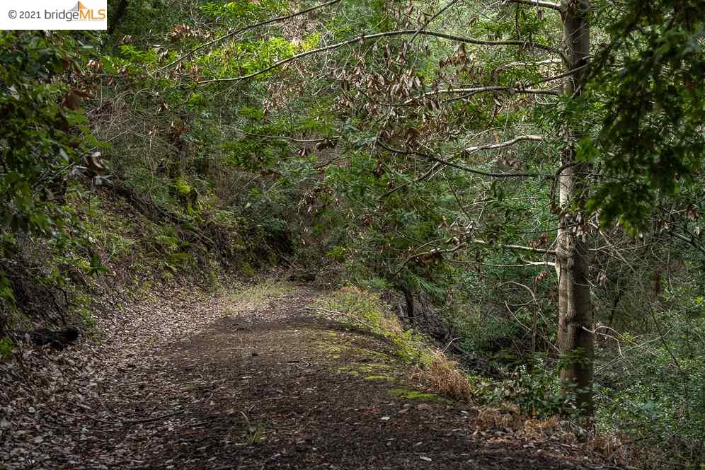 Congress Springs Rd, SARATOGA, California 95070, ,Lots And Land,For Sale,Congress Springs Rd,40965315