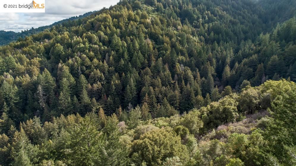 Congress Springs Rd, SARATOGA, California 95070, ,Lots And Land,For Sale,Congress Springs Rd,40965315