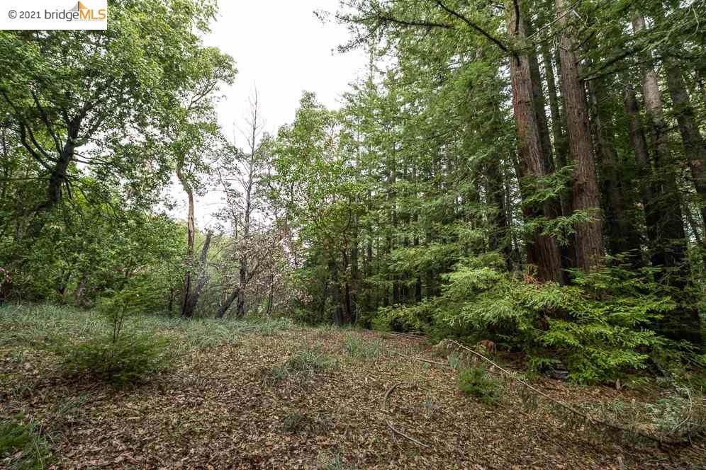 Congress Springs Rd, SARATOGA, California 95070, ,Lots And Land,For Sale,Congress Springs Rd,40965315