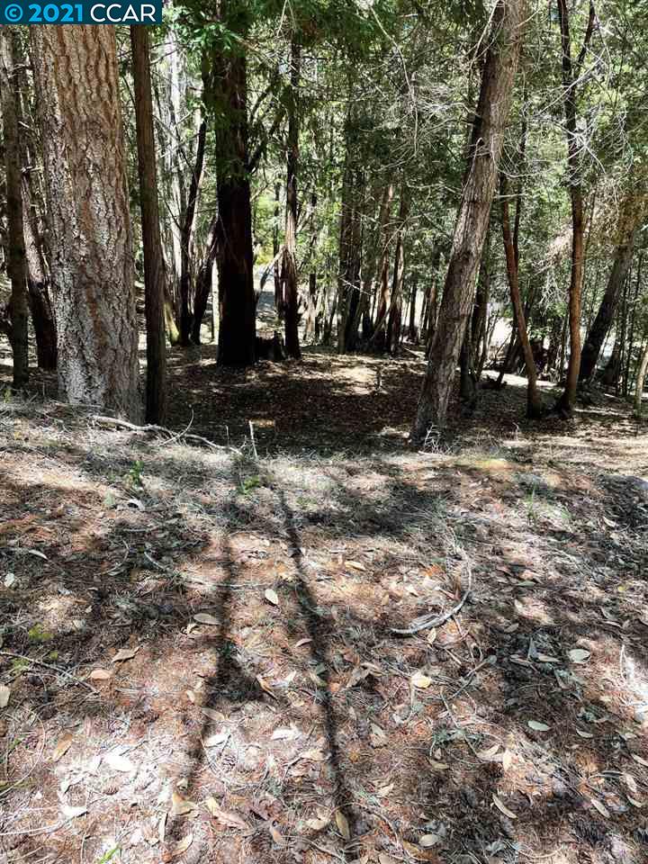 1740 Buckeye Rd, WILLITS, California 95490, ,Lots And Land,For Sale,Buckeye Rd,40964188