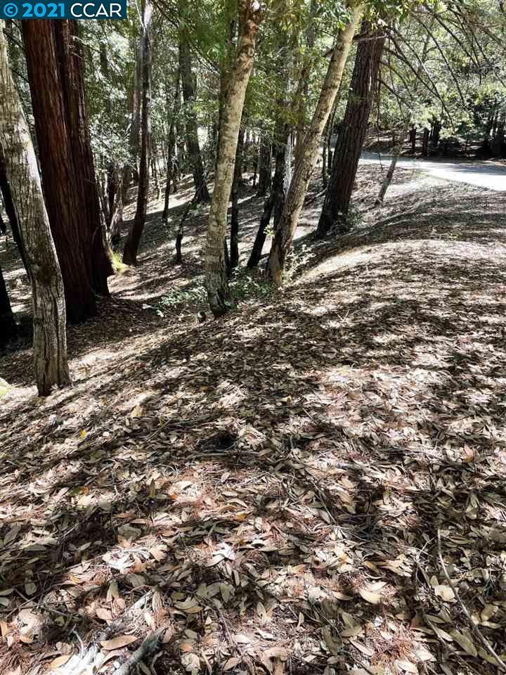 1740 Buckeye Rd, WILLITS, California 95490, ,Lots And Land,For Sale,Buckeye Rd,40964188