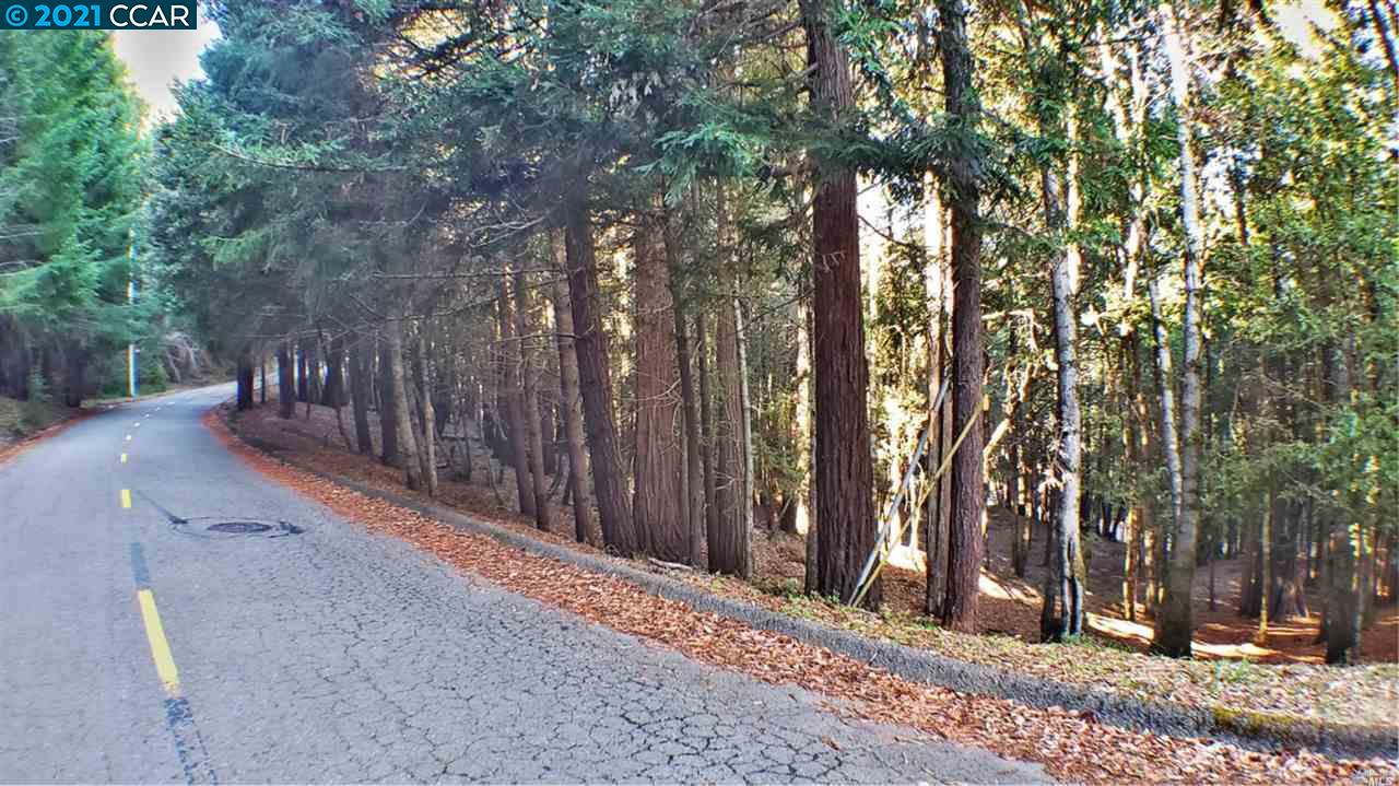 1740 Buckeye Rd, WILLITS, California 95490, ,Lots And Land,For Sale,Buckeye Rd,40964188