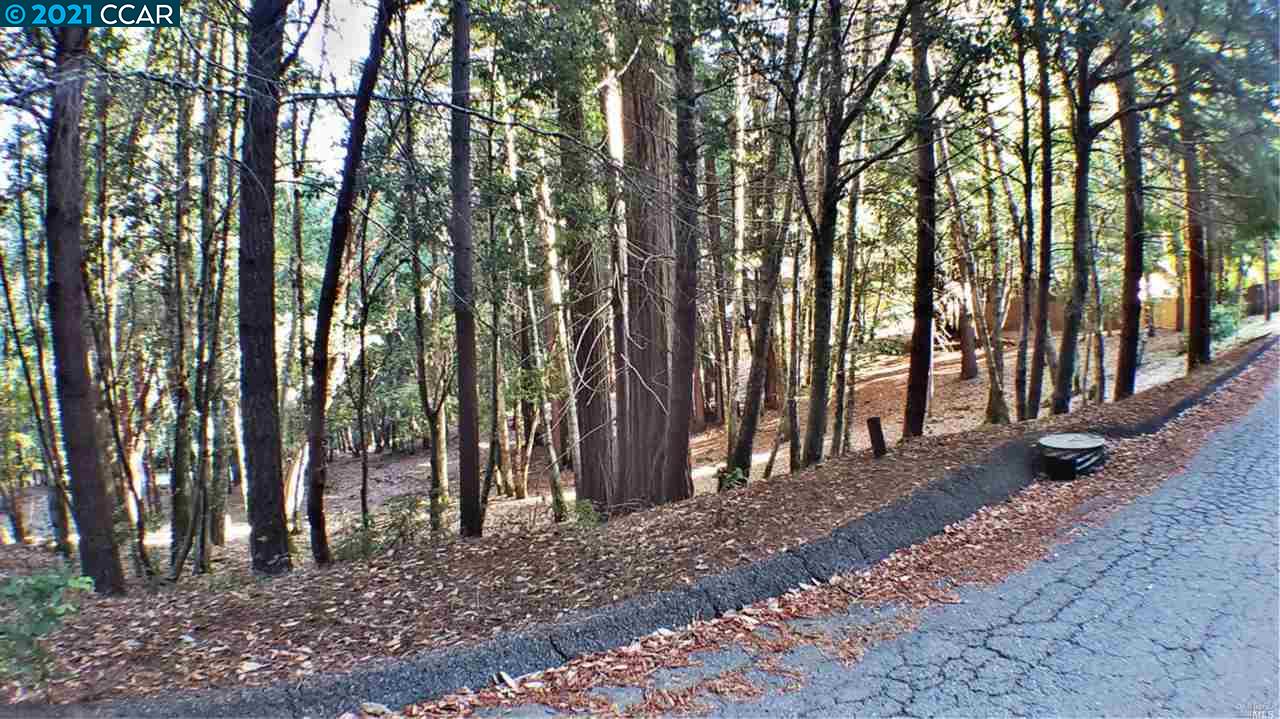 1740 Buckeye Rd, WILLITS, California 95490, ,Lots And Land,For Sale,Buckeye Rd,40964188