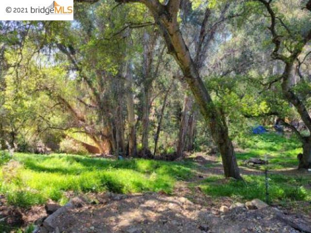 3232 Hollow Ln, HAYWARD, California 94541, ,Lots And Land,For Sale,Hollow Ln,40964197