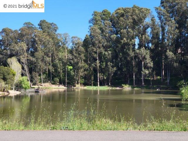3232 Hollow Ln, HAYWARD, California 94541, ,Lots And Land,For Sale,Hollow Ln,40964197