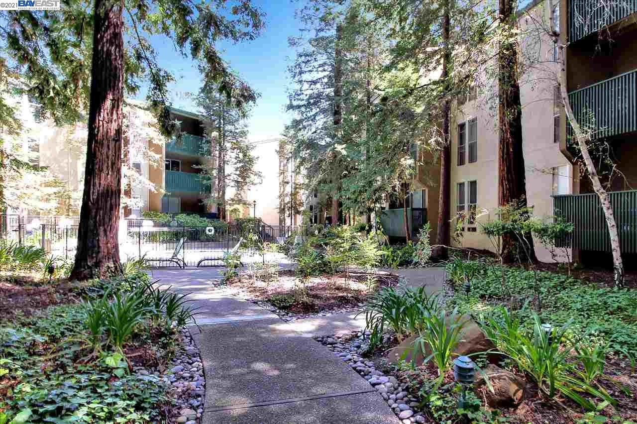 GREENWOOD Condos For Sale in WALNUT CREEK East Bay Condo Mania!