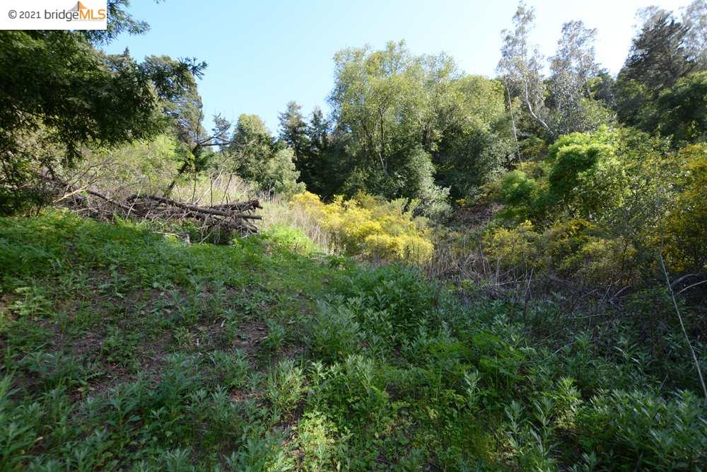 0 Westover Dr, OAKLAND, California 94611, ,Lots And Land,For Sale,Westover Dr,40964230