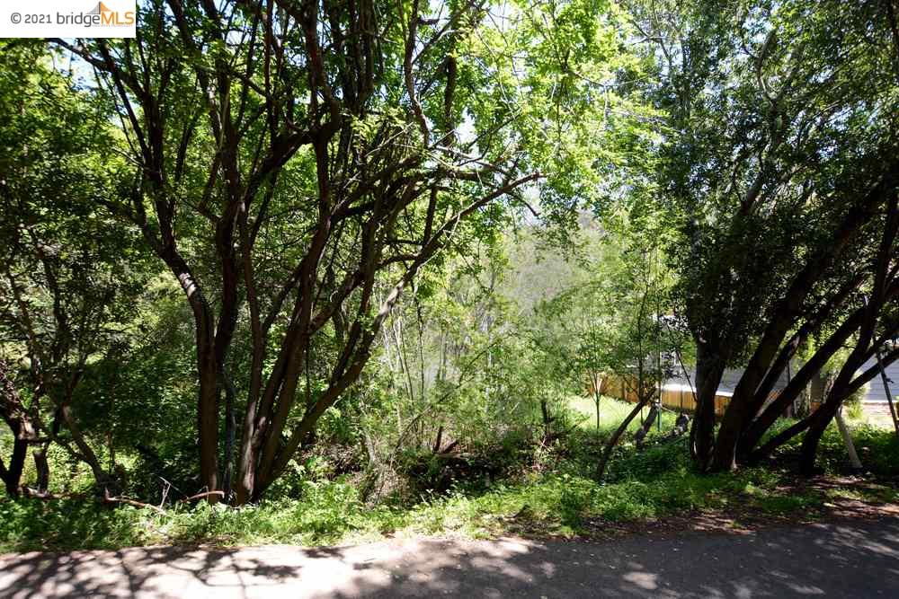 0 Robinson Dr, OAKLAND, California 94602, ,Lots And Land,For Sale,Robinson Dr,40964231
