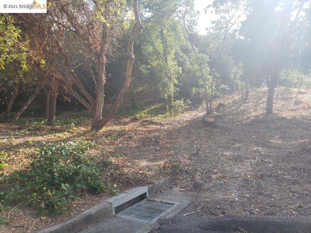 0 Pinon Ave, PINOLE, California 94564, ,Lots And Land,For Sale,Pinon Ave,40964247