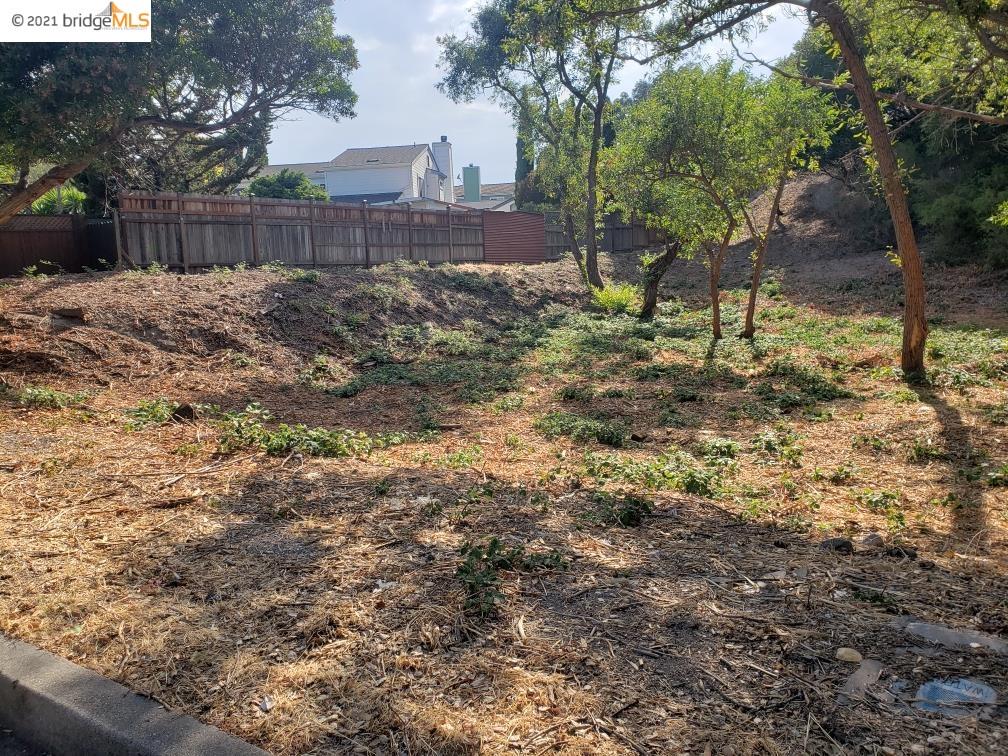 0 Pinon Ave, PINOLE, California 94564, ,Lots And Land,For Sale,Pinon Ave,40964247