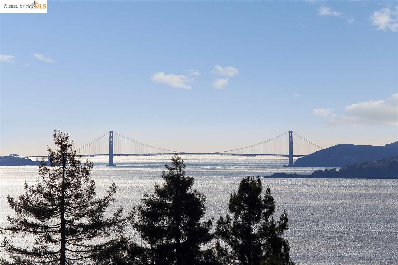 8246 Terrace Dr, EL CERRITO, California 94530, ,Lots And Land,For Sale,Terrace Dr,40964285