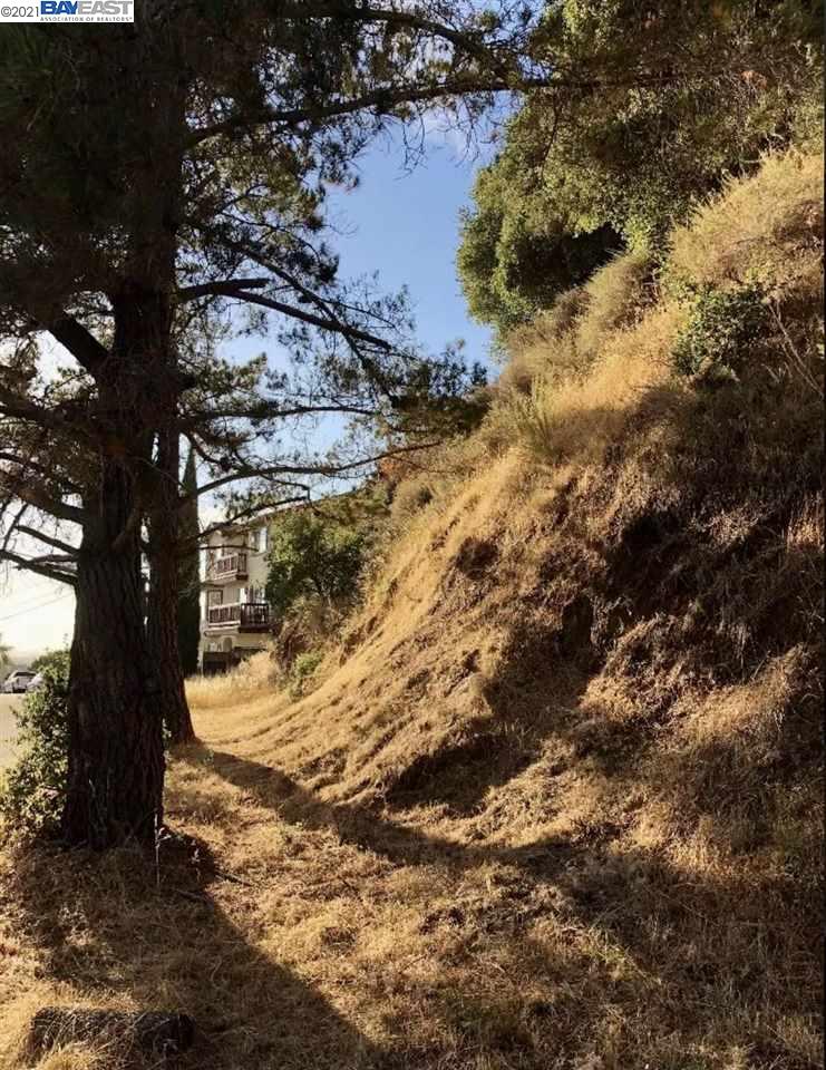 Revere Ave, OAKLAND, California 94605, ,Lots And Land,For Sale,Revere Ave,40964306