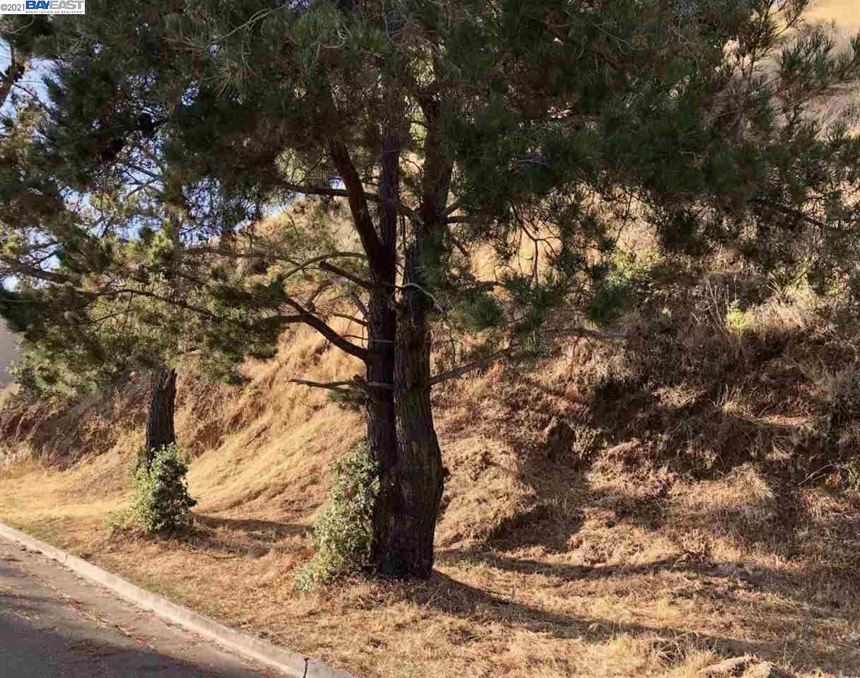 Revere Ave, OAKLAND, California 94605, ,Lots And Land,For Sale,Revere Ave,40964306
