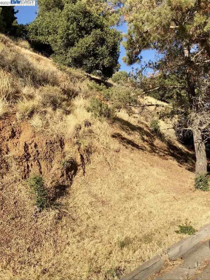 Revere Ave, OAKLAND, California 94605, ,Lots And Land,For Sale,Revere Ave,40964306