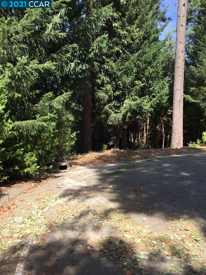 16931 Fairview Court, PIONEER, California 95666, ,Lots And Land,For Sale,Fairview Court,40964309