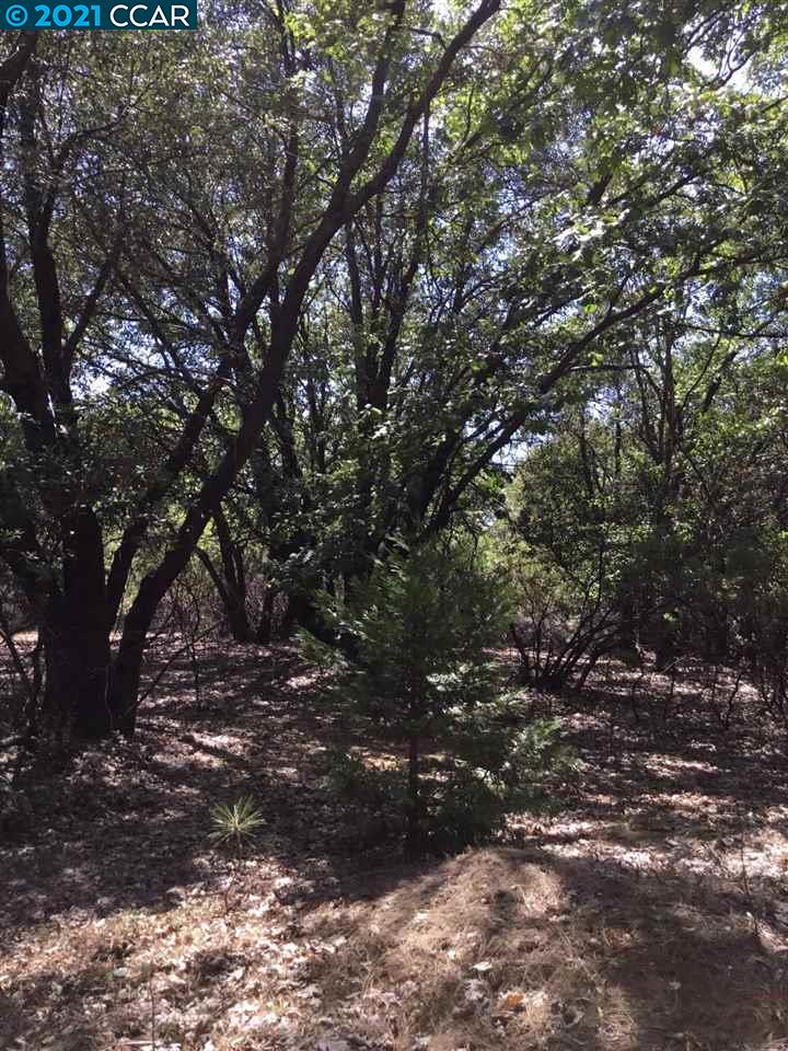 16931 Fairview Court, PIONEER, California 95666, ,Lots And Land,For Sale,Fairview Court,40964309