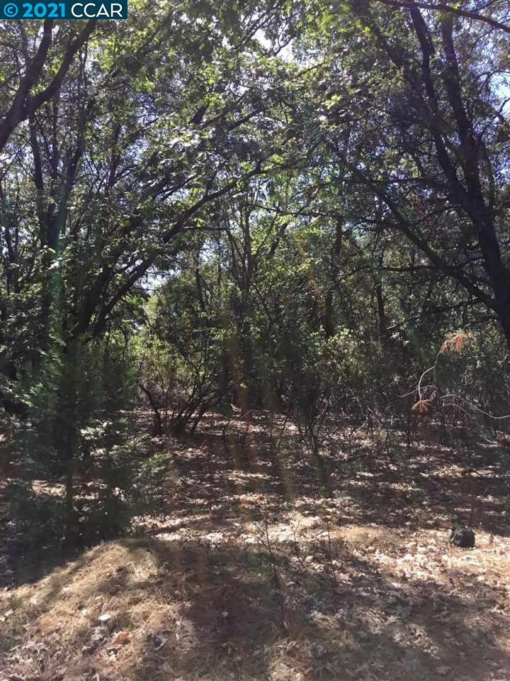 16931 Fairview Court, PIONEER, California 95666, ,Lots And Land,For Sale,Fairview Court,40964309